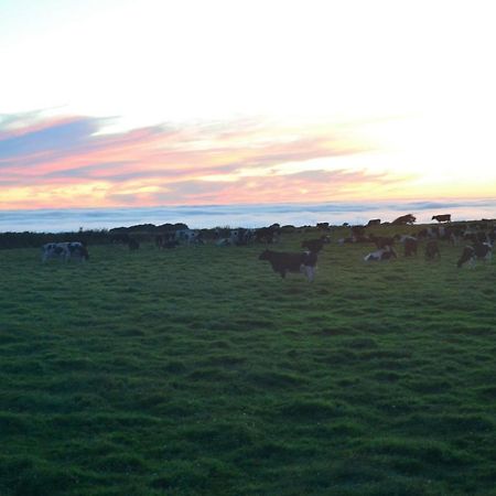 Family Run Farm B&B Gooseham Dış mekan fotoğraf