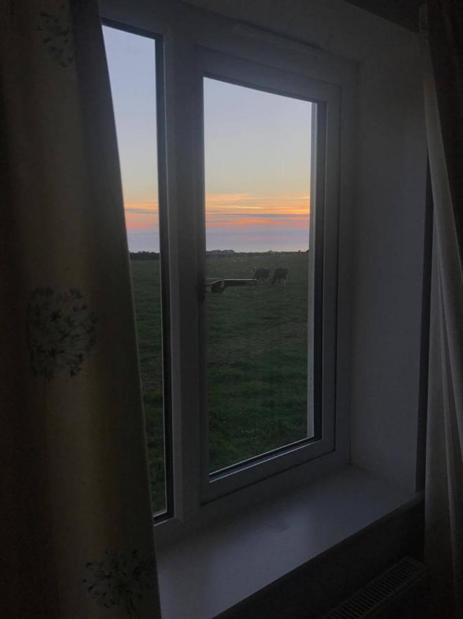 Family Run Farm B&B Gooseham Dış mekan fotoğraf